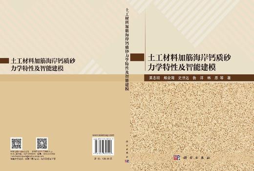 土工材料加筋海岸钙质砂力学特性及智能建模 巢志明等 9787030853547 商品图3