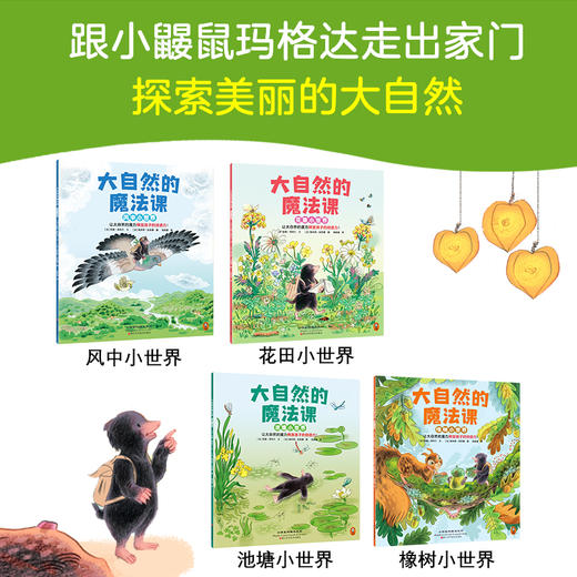 大自然的魔法课（全4册）渠道特供版 商品图2