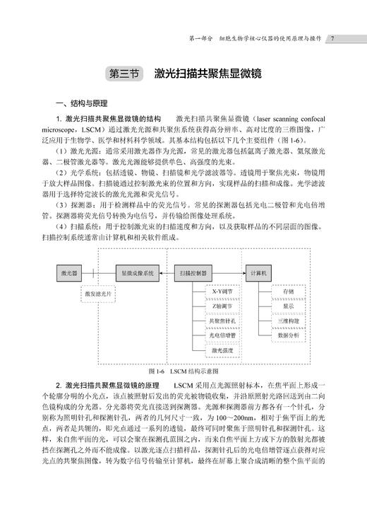 细胞生物学进阶性实验指导 张江 常玲 毛传樨 9787030859662 商品图13