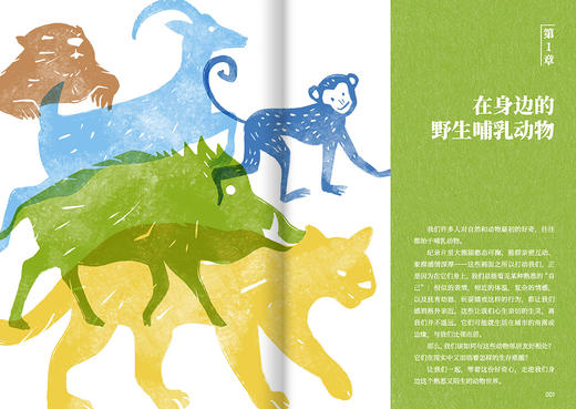 为它们“搭桥”——动物友好相处指南 商品图2