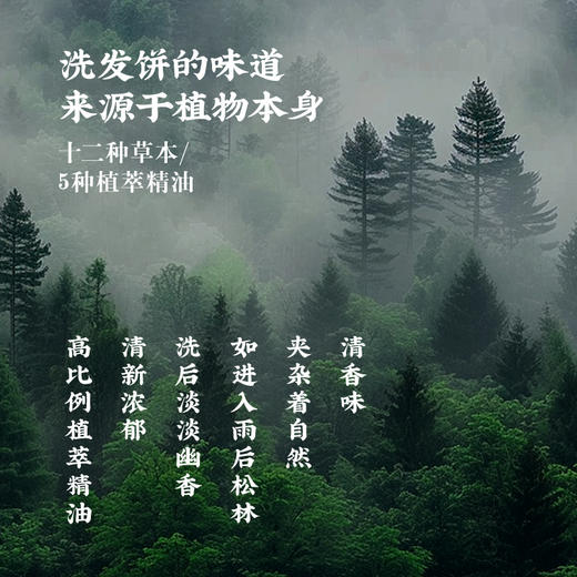 热卖！12种植萃！洗出黑亮柔顺！【买赠肥皂盒+起泡网】墨见 草本植萃氨基酸型洗发饼 打造蓬松秀发 90g/块 商品图2