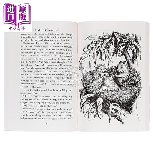 【中商原版】时代广场的蟋蟀1-2 共2册 The Cricket in Times Square+Tucker's Countryside 儿童文学故事插图小说 780L 8岁+ 商品图4