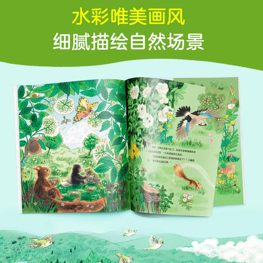 大自然的魔法课（全4册）渠道特供版 商品图4