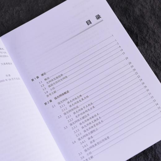 强弱光协同光网络 商品图1