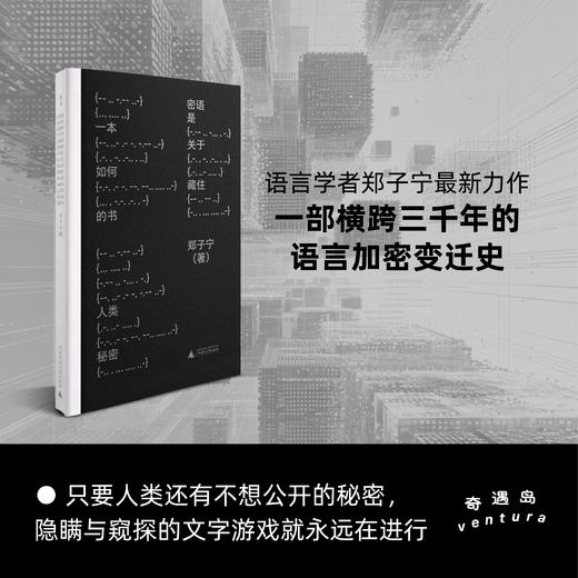 （签名本）密语 | 女书/摩尔斯电码/同担与本命，郑子宁趣味开讲人类三千年语言加密史 商品图0