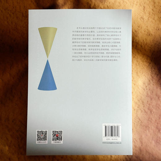 探究为锥 素养为柱 初中数学探究教学实践研究 厉斯亮 商品图2