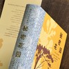 【插图珍藏版】秘密花园 商品缩略图2