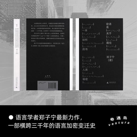 （签名本）密语 | 女书/摩尔斯电码/同担与本命，郑子宁趣味开讲人类三千年语言加密史 商品图1