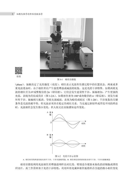 细胞生物学进阶性实验指导 张江 常玲 毛传樨 9787030859662 商品图8