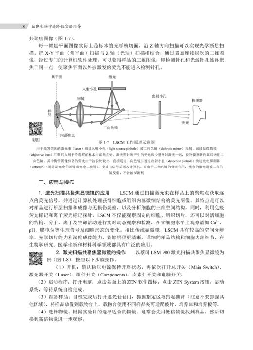 细胞生物学进阶性实验指导 张江 常玲 毛传樨 9787030859662 商品图14