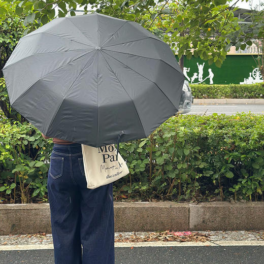 一键开合 69元2把【12骨双龙骨自动晴雨两用伞】马卡龙配色 双龙骨伞架 仿生荷叶设计 加大伞面遮阳遮雨LJW 商品图7