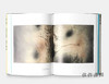 Spaziali/Nucleari: Artworks from the Lanfranchi Collection / 空间主义与核艺术运动：兰弗兰基收藏中的艺术品 商品缩略图1