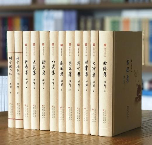 【特惠】《耕堂文录十种》，全10册，精装，32开，孙犁著，百花文艺出版社2023年一版二印，定价629，售价178元。 商品图0