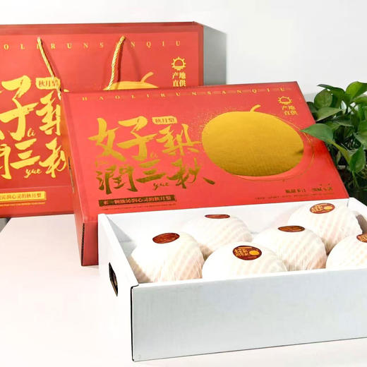 热卖！爆汁！山东莱西秋月梨 净重4.5斤 新鲜当季水果 顺丰/京东发货 商品图14