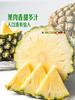 MM 山姆 Jumbo 大颗凤梨 2kg 商品缩略图2