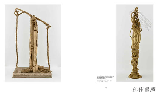 Barbara Chase-Riboud Monumentale: The Bronzes / 芭芭拉·蔡斯-里布：纪念碑式青铜雕塑 商品图4