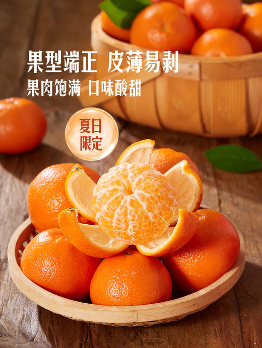 MM 山姆 Dandy Mandy橘 2.27kg 商品图4