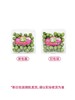 MM 山姆 奇异莓 500g 商品缩略图7