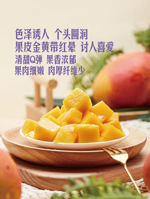 MM 山姆 霓彩芒 1.5kg 商品图1