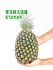 MM 山姆 Jumbo 大颗凤梨 2kg 商品缩略图4