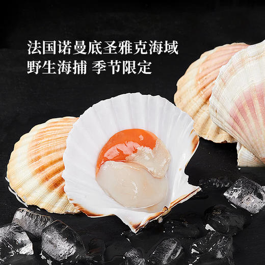MM 山姆 法国帝王扇贝 600g 商品图1