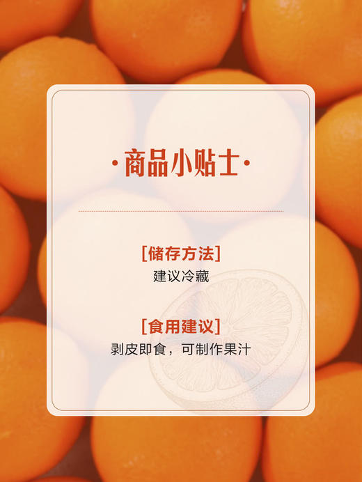 MM 山姆 澳洲红肉橙 3.6kg 商品图5