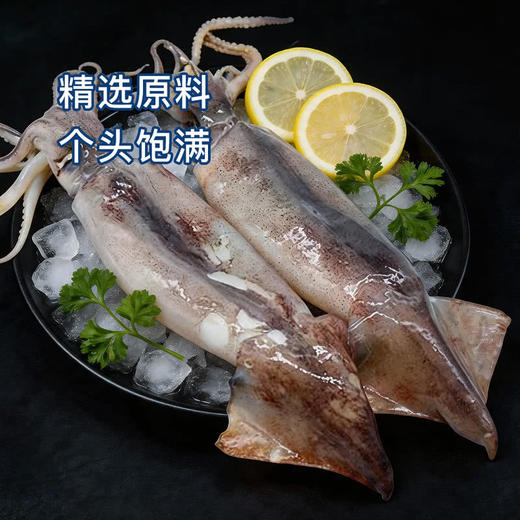 MM 山姆 阿根廷鱿鱼 1.2kg 商品图2