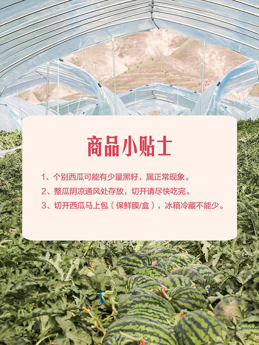 MM 山姆 站神西瓜 3.5kg 商品图7