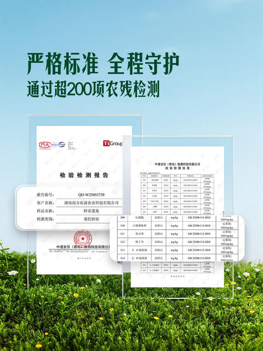 MM 山姆 鲜采菱角 950g 商品图3
