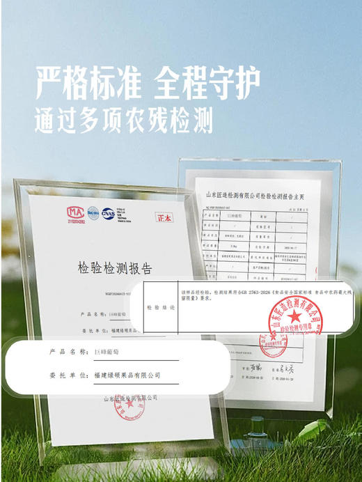 MM 山姆 福安巨峰葡萄 2.4kg 商品图2