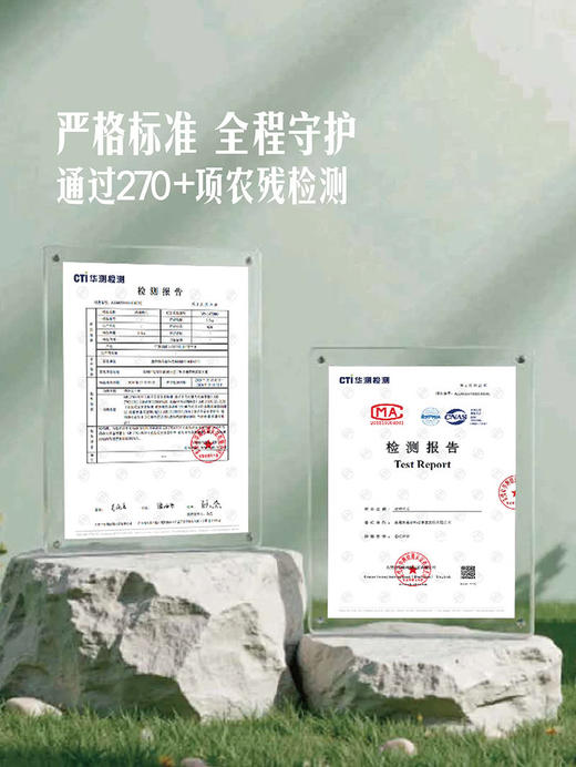 MM 山姆 站神西瓜 3.5kg 商品图2