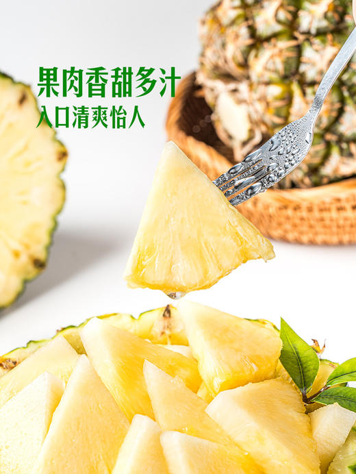 MM 山姆 Jumbo 大颗凤梨 2kg 商品图5
