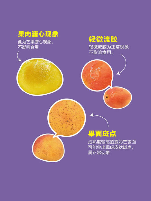 MM 山姆 霓彩芒 1.5kg 商品图6