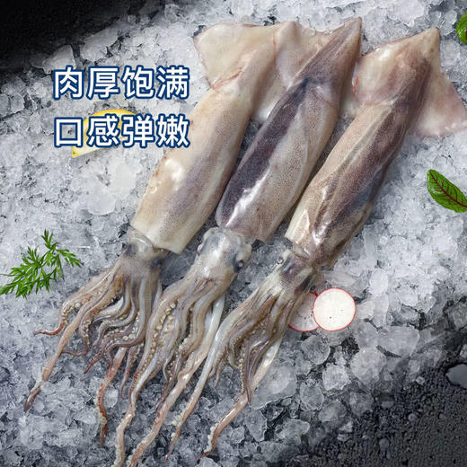 MM 山姆 阿根廷鱿鱼 1.2kg 商品图1