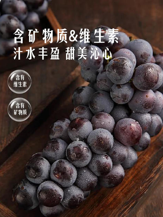 MM 山姆 福安巨峰葡萄 2.4kg 商品图3