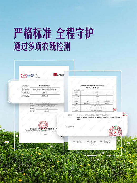 MM 山姆 六叶茄 800g 商品图3