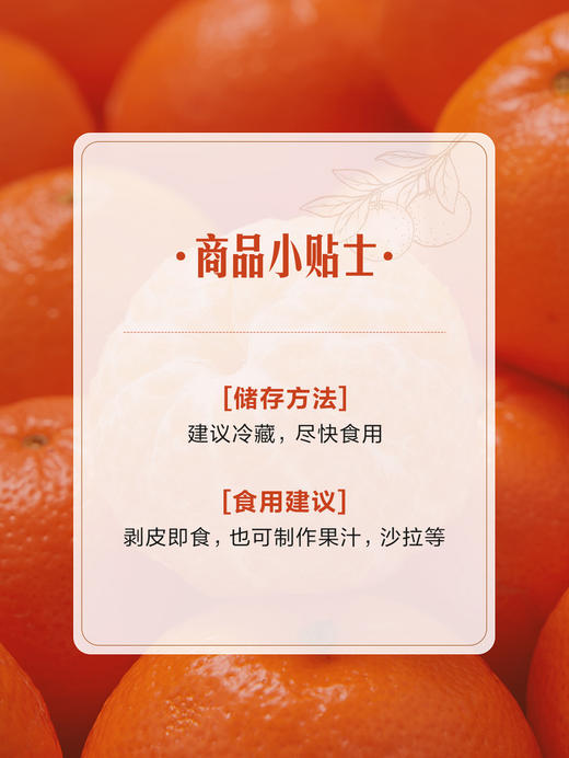 MM 山姆 Dandy Mandy橘 2.27kg 商品图5