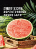 MM 山姆 站神西瓜 3.5kg 商品缩略图1