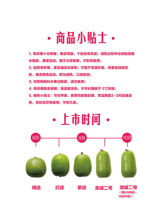 MM 山姆 奇异莓 500g 商品图5