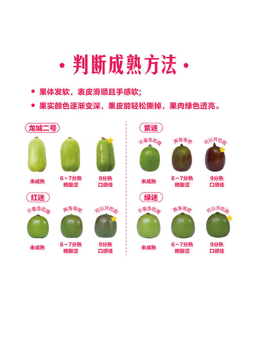 MM 山姆 奇异莓 500g 商品图6