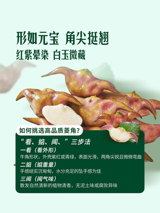 MM 山姆 鲜采菱角 950g 商品图5