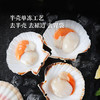 MM 山姆 法国帝王扇贝 600g 商品缩略图2