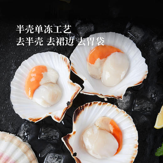 MM 山姆 法国帝王扇贝 600g 商品图2