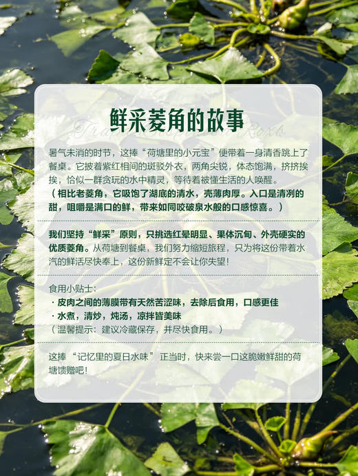 MM 山姆 鲜采菱角 950g 商品图4