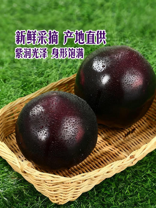 MM 山姆 六叶茄 800g 商品图4