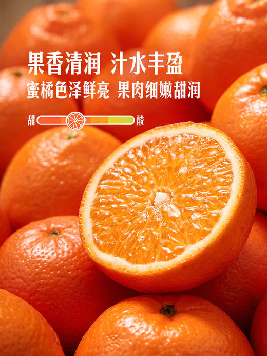MM 山姆 Dandy Mandy橘 2.27kg 商品图2
