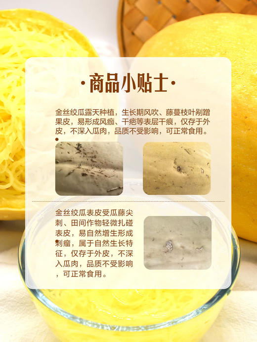 MM 山姆 泗县金丝绞瓜 1.5kg 商品图6