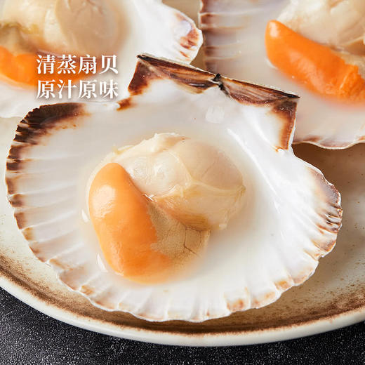 MM 山姆 法国帝王扇贝 600g 商品图3