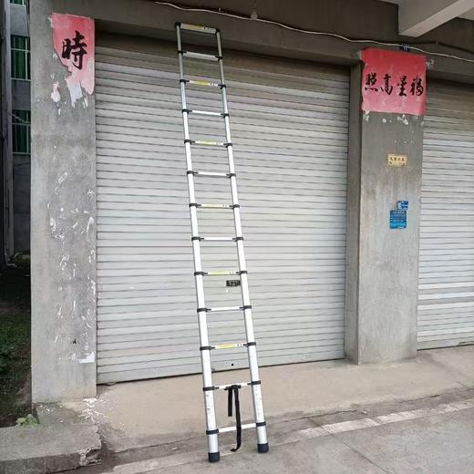 【NLSM】伸缩梯 6.3米 商品图1