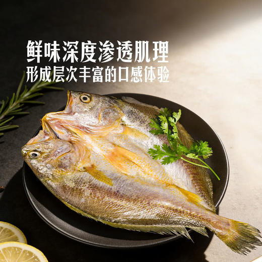 MM 山姆 黄鱼鲞 1.1kg 商品图2